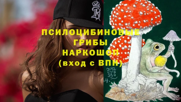 сатива Богородск