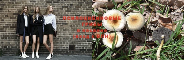 MDMA Богородицк