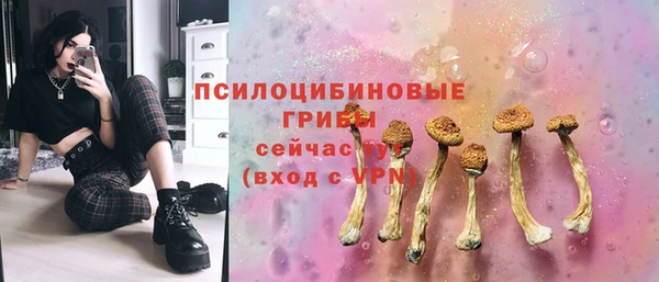 МДМА Богданович